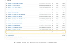 GitHub-Releaseseite von OBS Studio 32.2.2 mit der Datei OBS-Studio-32.2.2-Windows-x64.zip
