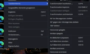 Untermenü Transformieren mit Einträgen wie Transformation bearbeiten, An Bildschirm anpassen und Auf Bildschirm strecken