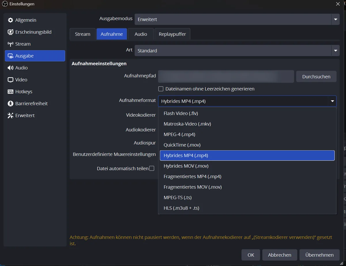 Aufgeklappte Liste der Aufnahmeformate mit Matroska, MPEG-4, Hybrides MP4 und weiteren
