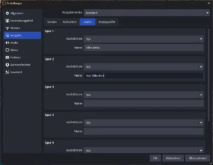 Einstellungen Ausgabe, Reiter Audio mit benannten Audiospuren
