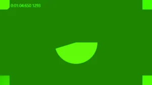 So sieht die OBS-Einzelquelle aus: nur das Kamerabild des Gastes, hier ein Testbild