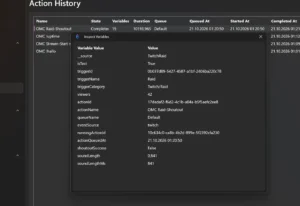 Inspect Variables des Raid-Tests mit viewers 42, shoutoutSuccess False